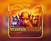 Stampede Bonanza